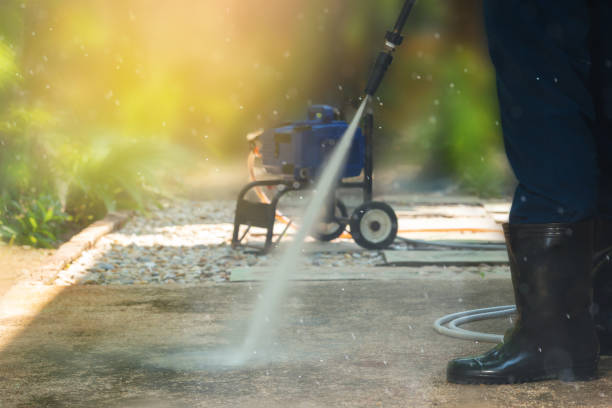 Professional Pressure Washing in Davis Junction, IL